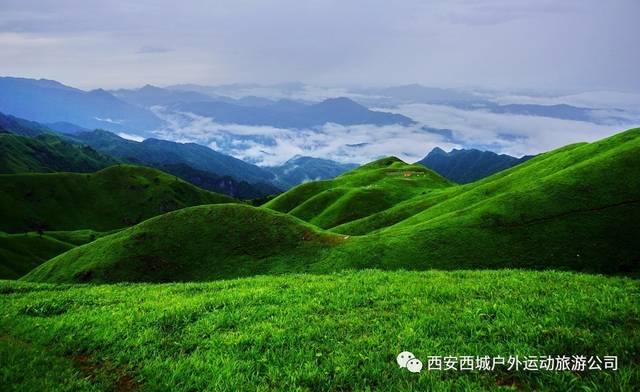 小猫钓鱼游戏龙王版有船