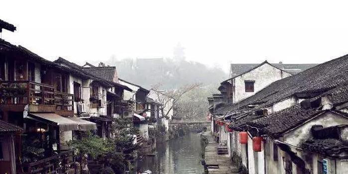 动物帮帮忙保卫家园